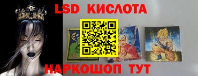 ECSTASY Гай