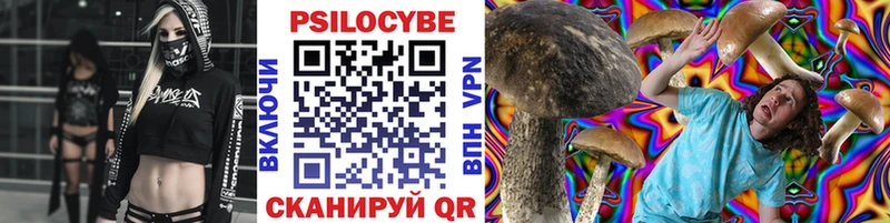 где купить наркоту  Таганрог  Псилоцибиновые грибы Psilocybine cubensis 