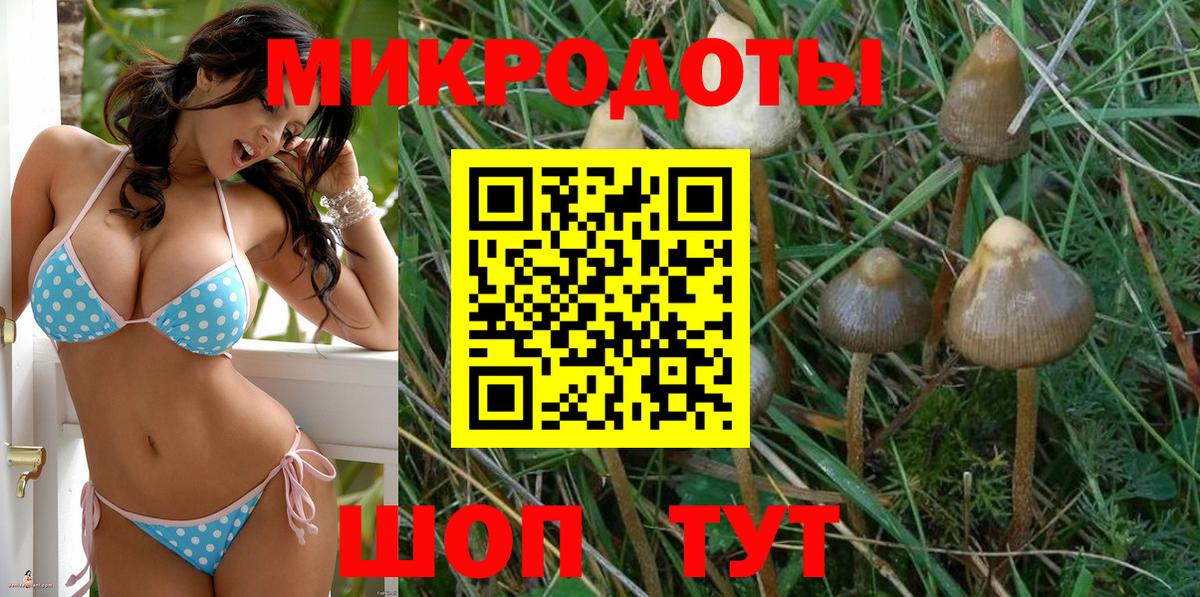 Таганрог  Псилоцибиновые грибы прущие грибы  Вход с VPN 