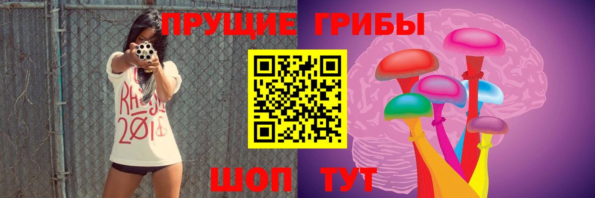 Псилоцибиновые грибы мухоморы Таганрог