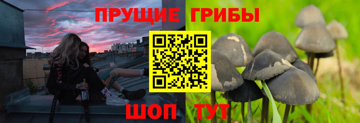 ГАШИШ Таганрог